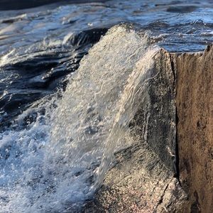 Meet your Posher, Daphne